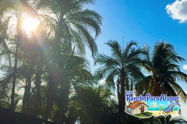 Rancho Riviera - Rancho Riviera para Alugar em Miguelópolis